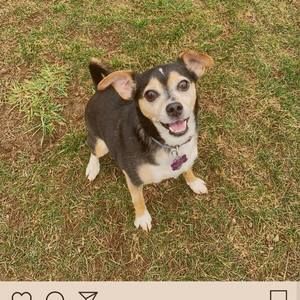 Meet your Posher, Melisa